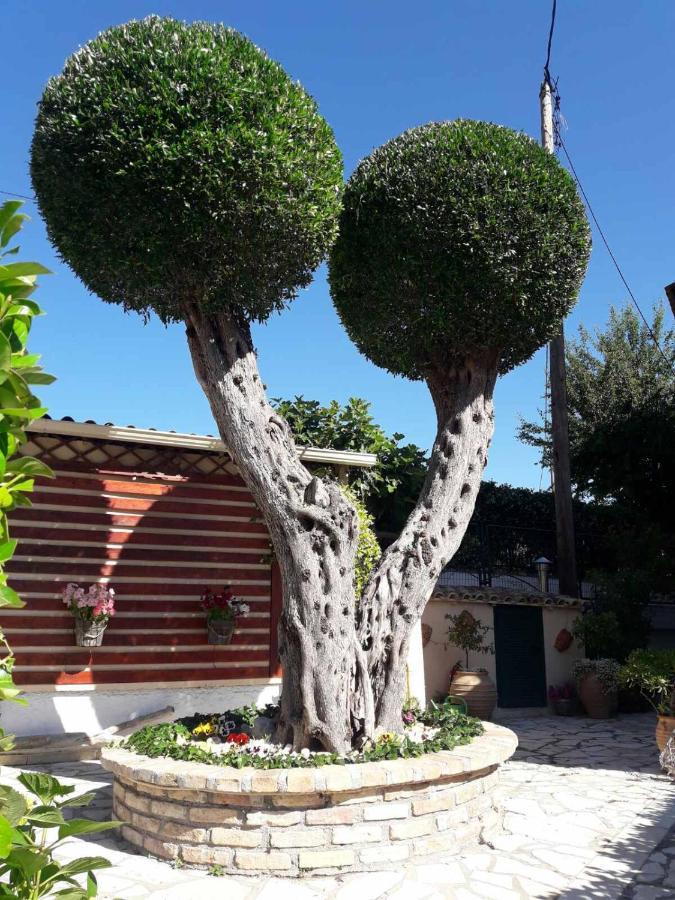 Flowers Studios Беницес Екстериор снимка