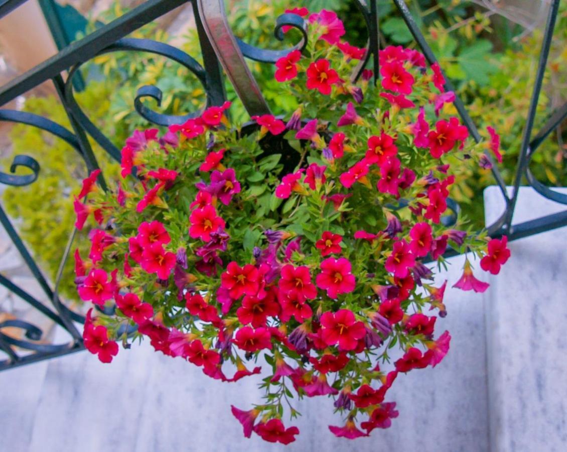 Flowers Studios Беницес Екстериор снимка